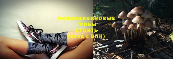винт Новокубанск