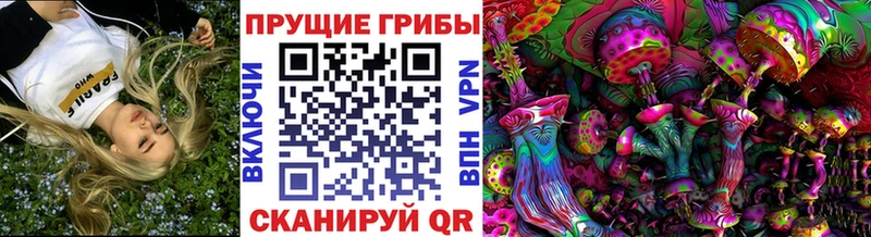 Галлюциногенные грибы прущие грибы  маркетплейс телеграм  Удомля  цена наркотик 