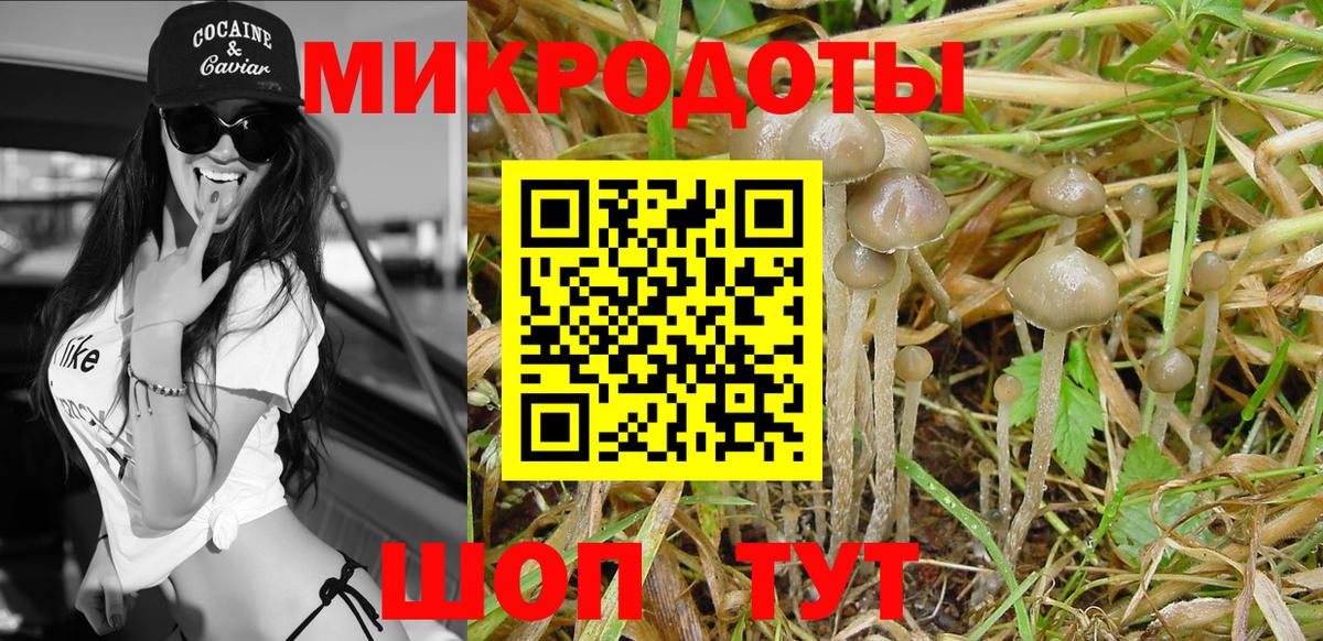 Псилоцибиновые грибы GOLDEN TEACHER Удомля