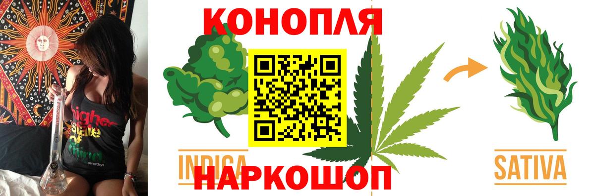 Конопля сатива Удомля
